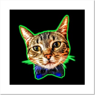 Dapper Cat Posters and Art